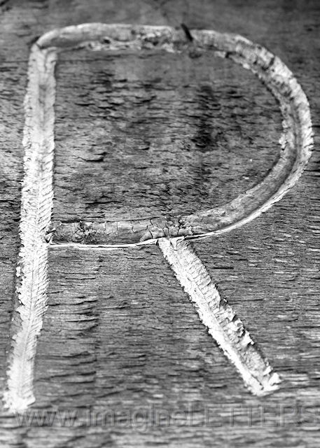 Wall_Art_Alphabet_Photography_Art_ 1921.jpg